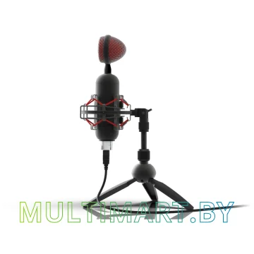 Микрофон Ritmix RDM-230 USB Eloquence картинка 2